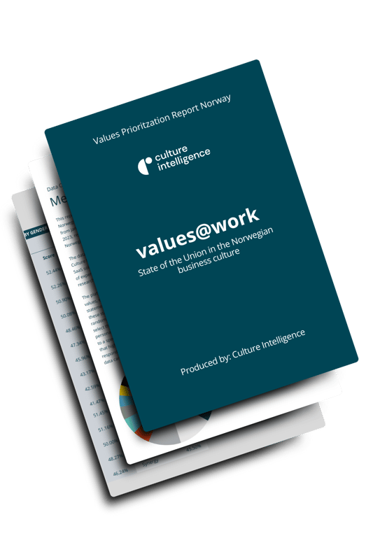 v@w report mockup v@w report mockup